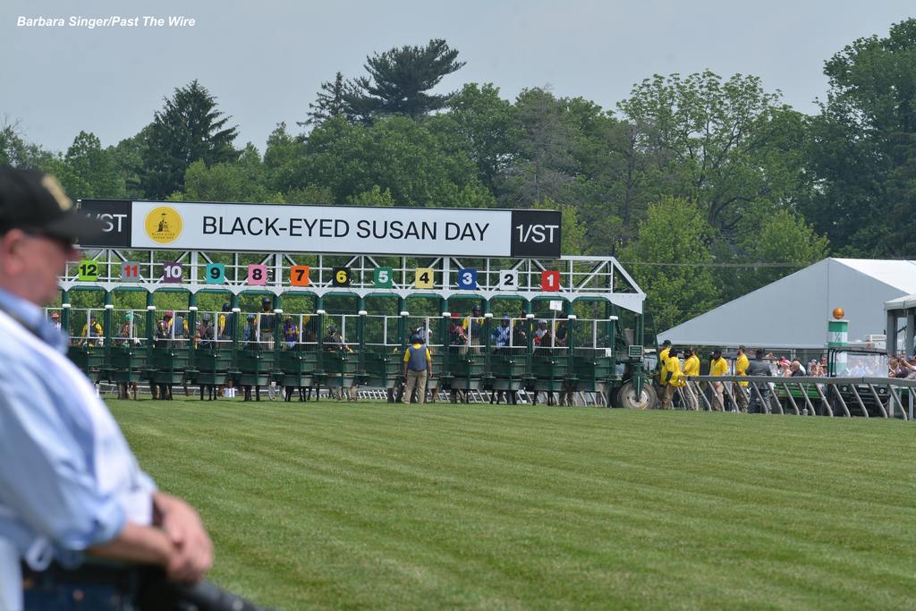 The starting gate for the Black-eyed Susan. (Barbara Singer/Past The Wire)