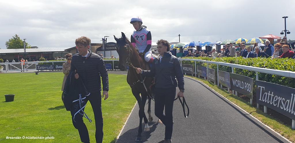 Balantina and Oisín Murphy won the Tally Ho Stud Fillies Maiden. (Breandán Ó hUallacháin photo)