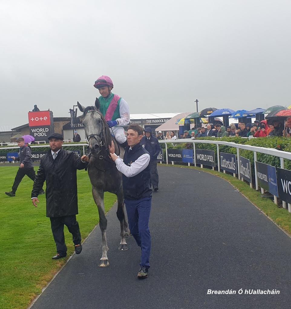 Field Of Gold and Colin Keane. (Breandán Ó hUallacháin photo)