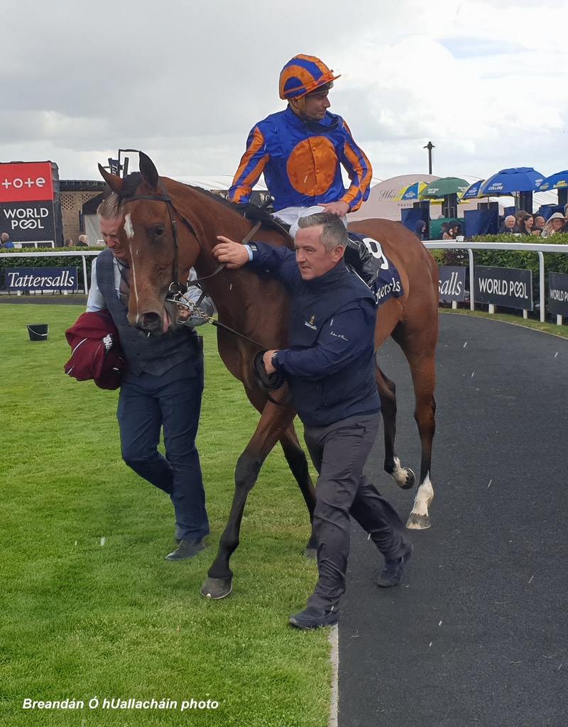 Lake Victoria and Ryan Moore, winners of the Tattersalls Irish 1000 Guineas. (Breandán Ó hUallacháin photo)