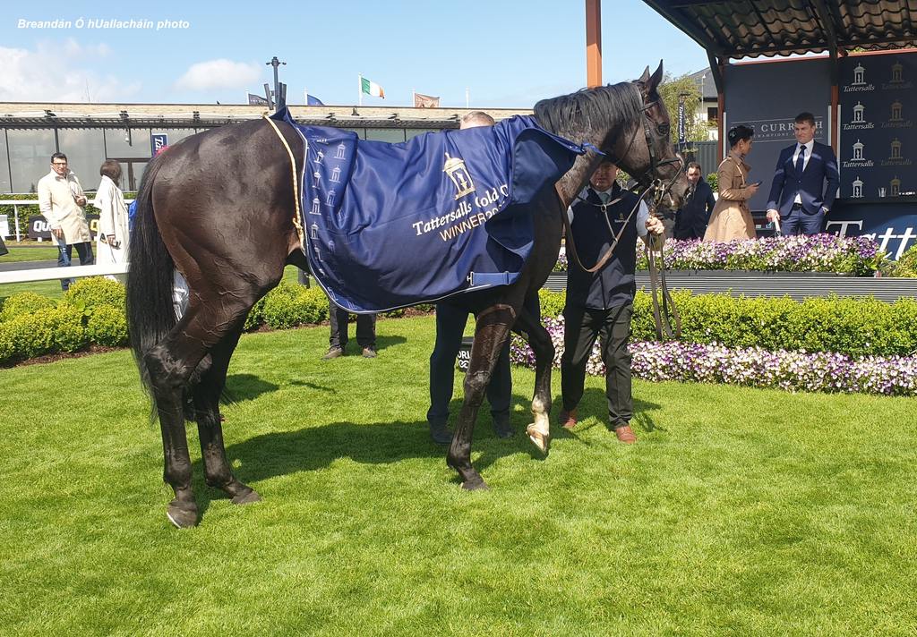 Los Angeles in the winner's circle at The Curragh. (Breandán Ó hUallacháin photo)