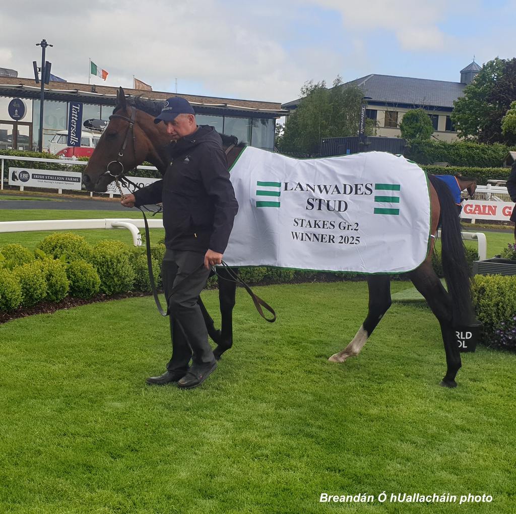 Porta Fortuna in the winner's circle at The Curragh. (Breandán Ó hUallacháin photo)