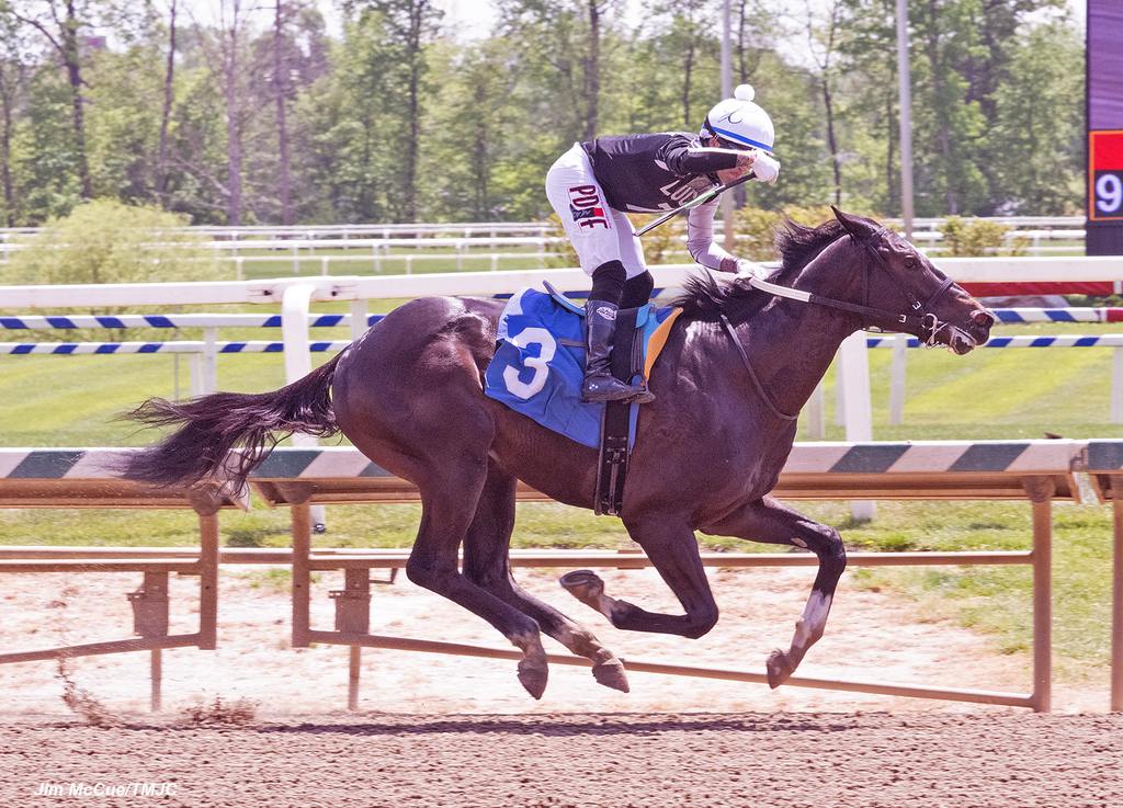 Romeo romping. (Jim McCue/TMJC)