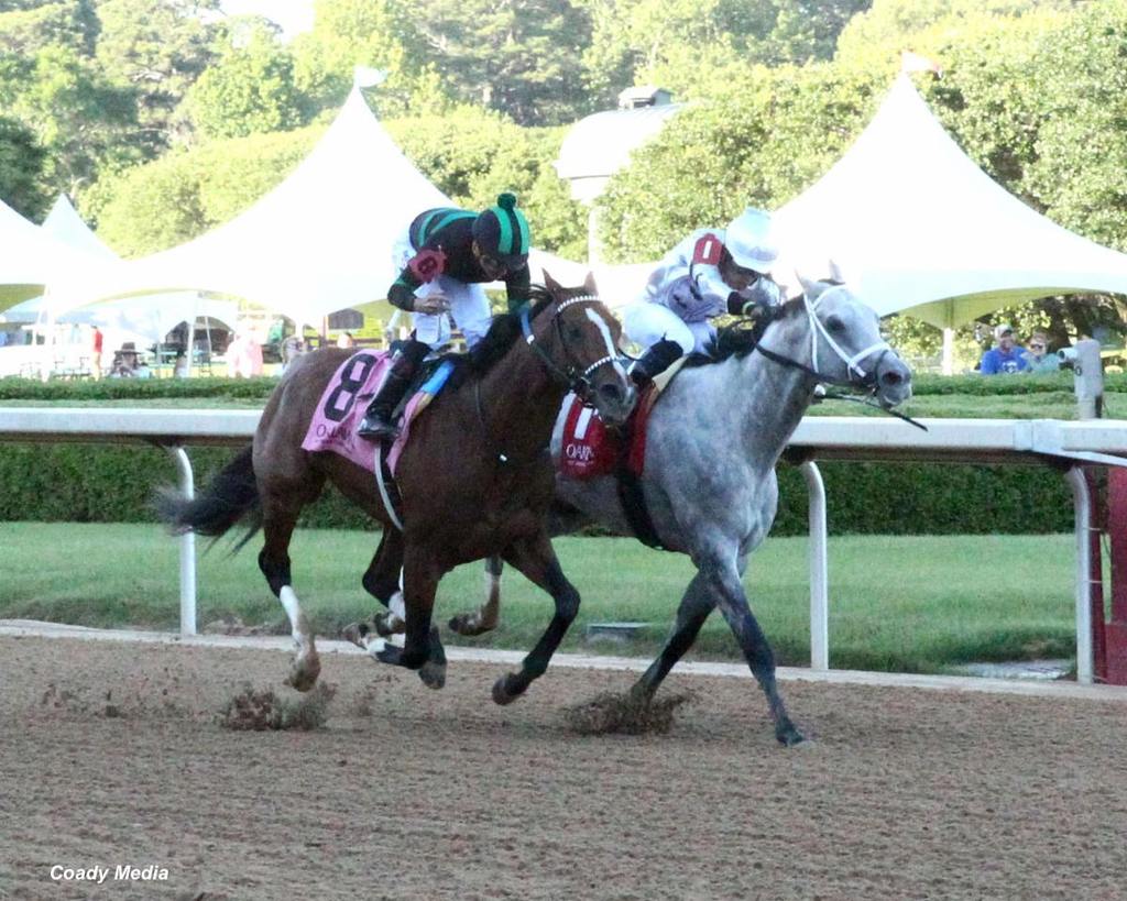 Saudi Crown (inside) duels down the stretch with Mystic Dan. (Coady Media)