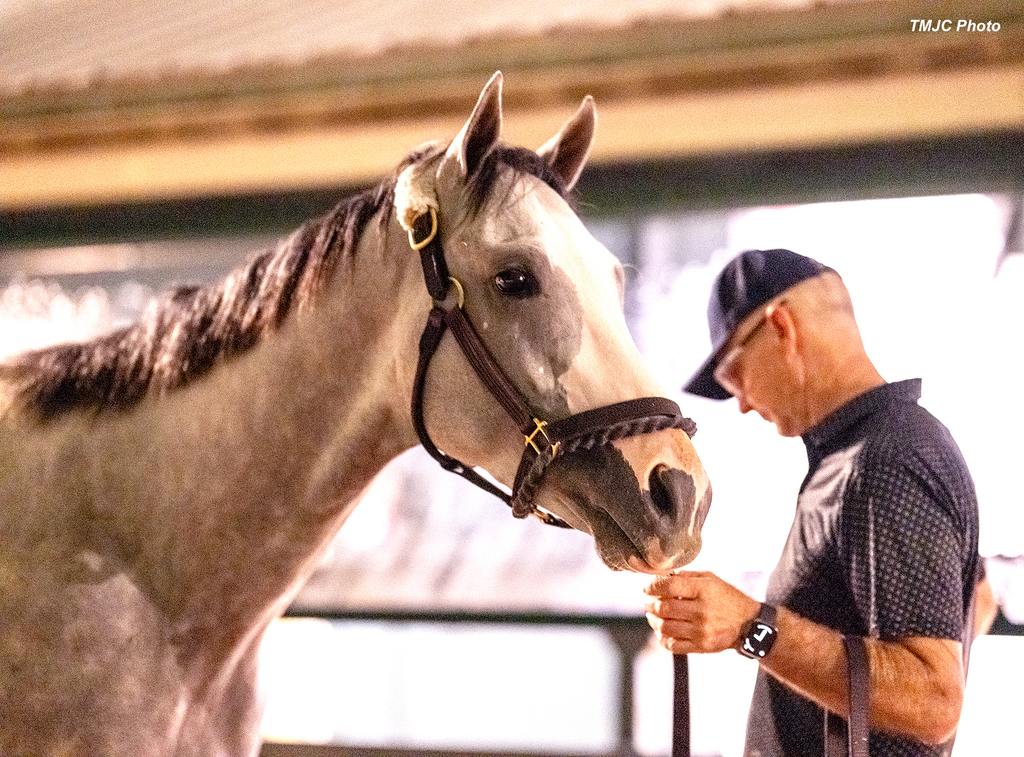 Sandman getting used to Pimlico. (TMJC Photo)