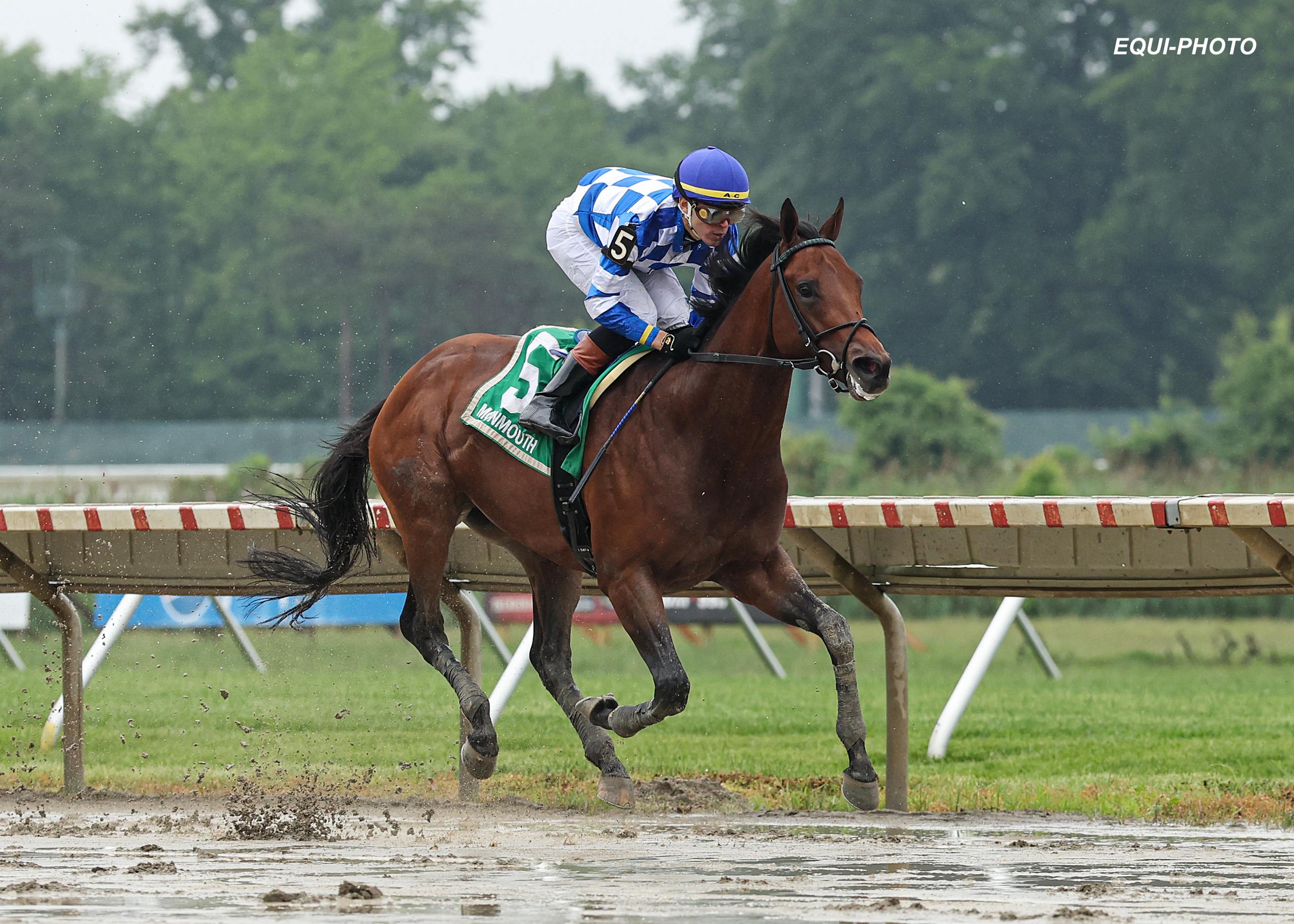 Bracket Buster Dominates NYRA Bets Pegasus Stakes - Past The Wire