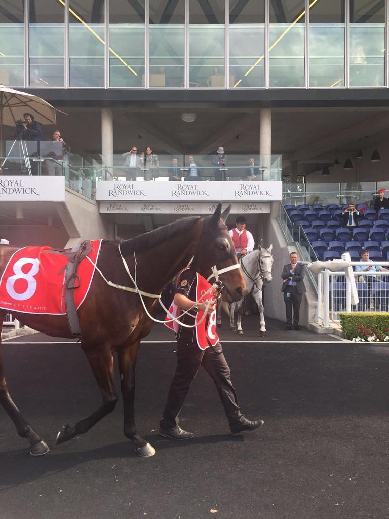 Winx, Cox Plate Winner. (Photo credit: Cherry He (http://www.godolphinflyingstart.com/trainees/cherry-he/) Creative CommonsAttribution-Share Alike 2.5 Generic license)