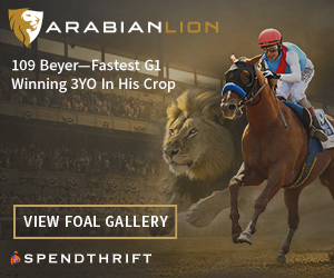 SP: Arabian Lion Square