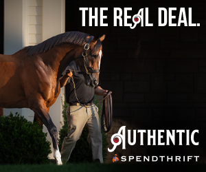 SP: Authentic Square