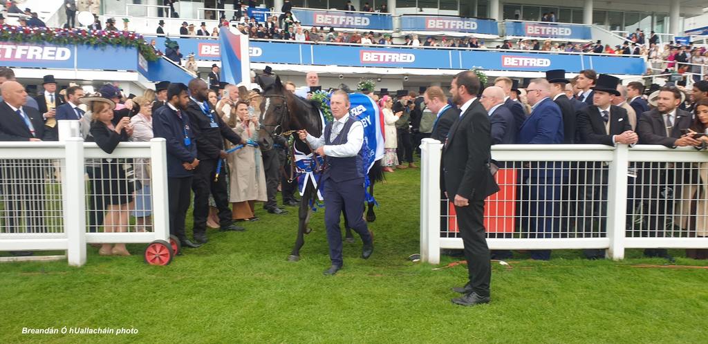 Betfred Derby winner Lambourn leaves the winner's circle. (Breandán Ó hUallacháin photo)
