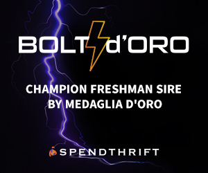 SP: Bolt d' Oro Rotating Square
