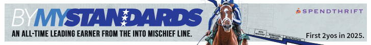SP: By My Standards Banner