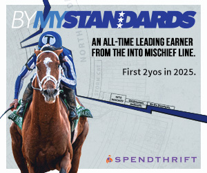SP: By My Standards Square