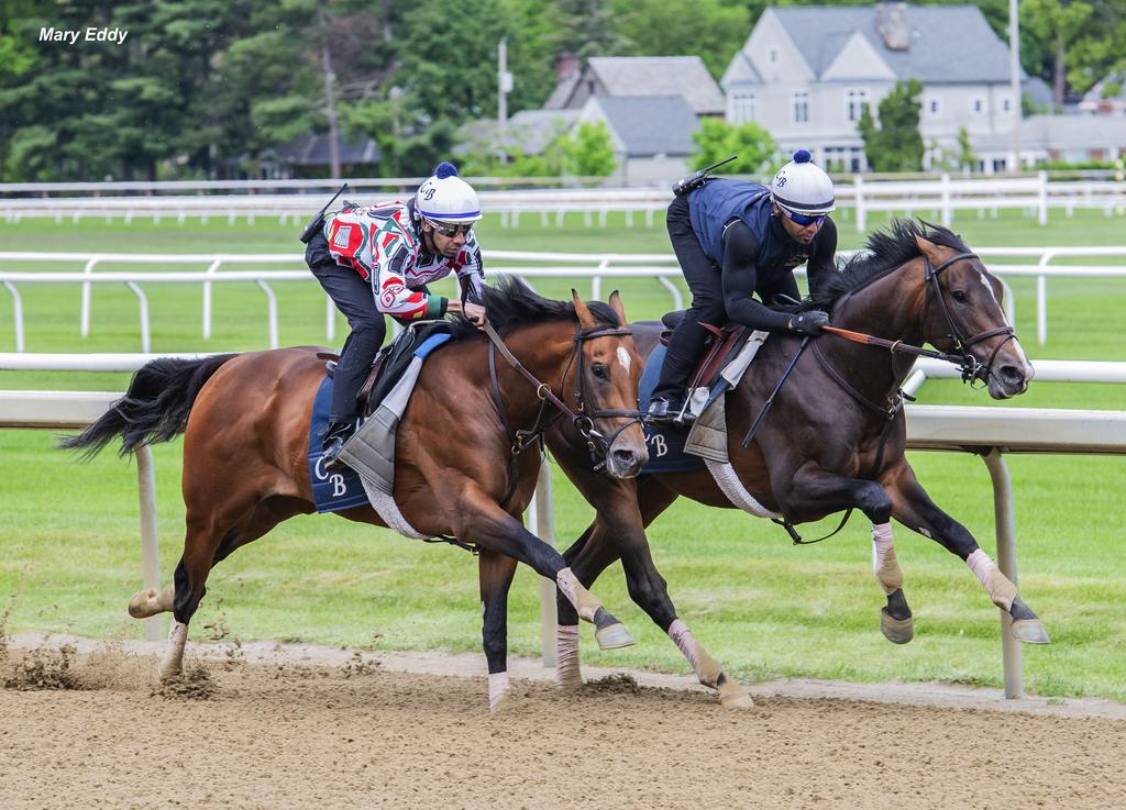 Chancer McPatrick in a recent work in company at Saratoga. (Mary Eddy photo)