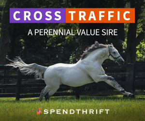 SP: Cross Traffic Square