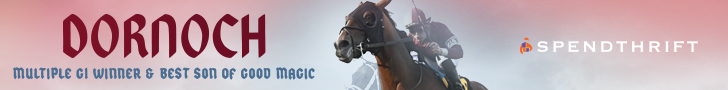 SP: Dornoch Banner