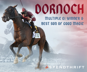 SP: Dornoch Square