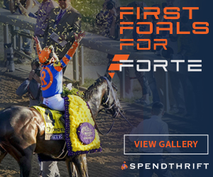 SP: Forte Square Ad