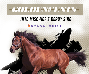 SP: Goldencents Square