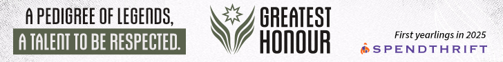 SP: Greatest Honour Banner