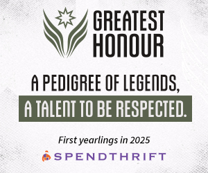 SP: Greatest Honour Square