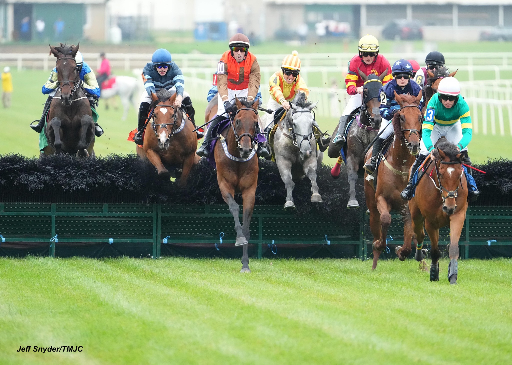 Md-bred Holey Moley Jumps to Victory - Past The Wire