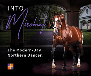 SP: Into Mischief Rotating Square