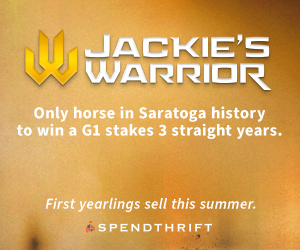 SP: Jackies Warrior Square (ad)