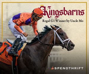 SP: Kingsbarns Square Ad