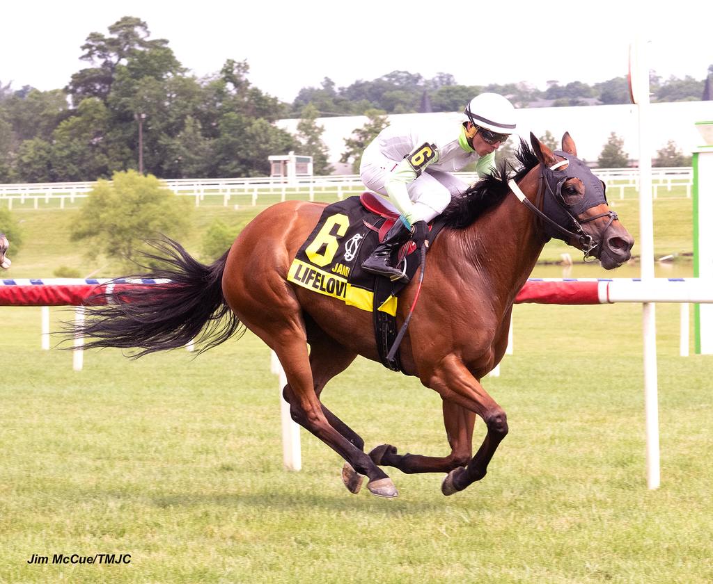 Lifelovenlaughter. (Jim McCue/TMJC)