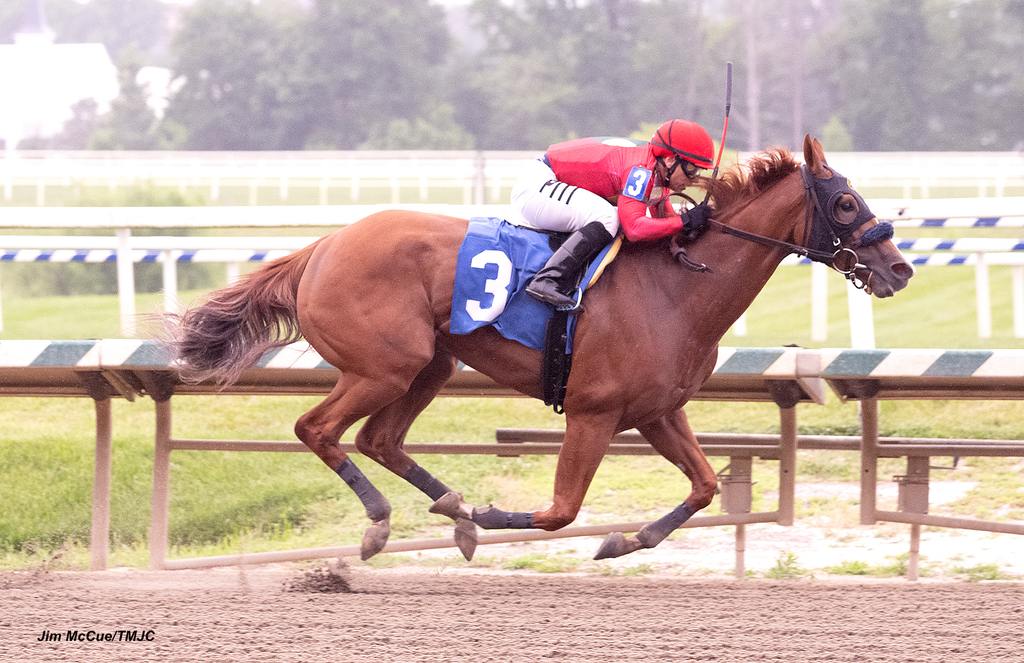 Low Country Magic. (Jim McCue/TMJC) 