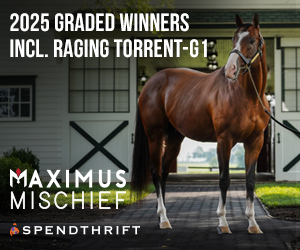 SP: Maximus Mischief Square