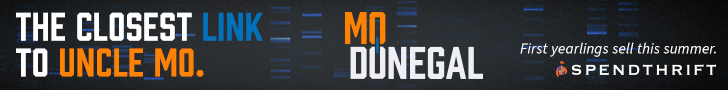 SP: Mo Donegal Banner