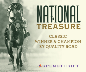 SP: National Treasure Square
