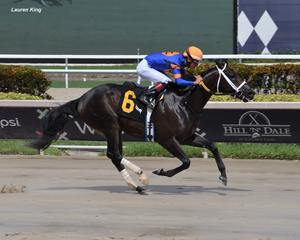 Saffie Joseph Jr.-trained Nautical Star will start in the Race 7 feature. (Lauren King)
