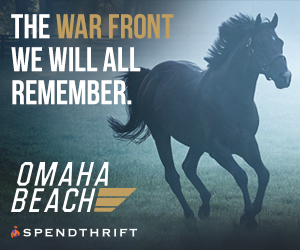 SP: Omaha Beach Rotating Square
