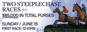 SteeplechaseStormyBlues_1900x700-Landing-Page-Header1