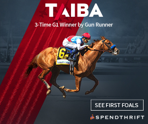 SP: Taiba Square