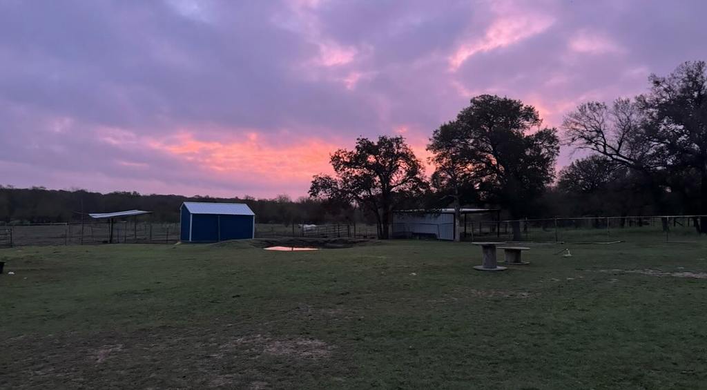 photo courtesy of The Bridge Sanctuary