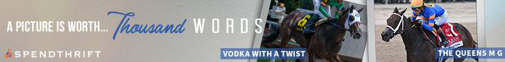 SP: Thousand Words Banner