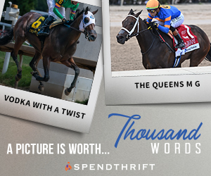 SP: Thousand Words Square