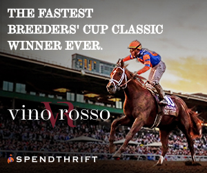 SP: Vino Rosso Square