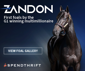 SP: Zandon Square