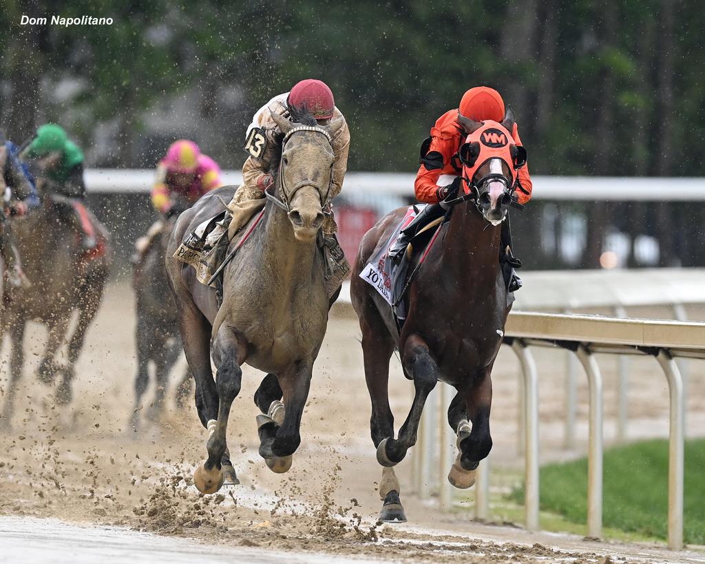 Parchment Party (outside) pays no mind to the mud as he sails the clean leader Yo Daddy. (Dom Napolitano)