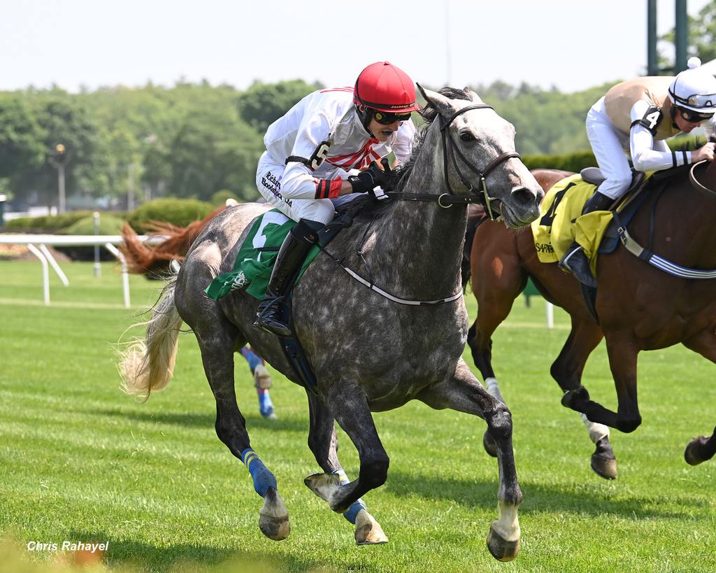 Ridden to victory by Freddie Procter, Proven Innocent utilized an off-the-pace trip. (Chris Rayahel)