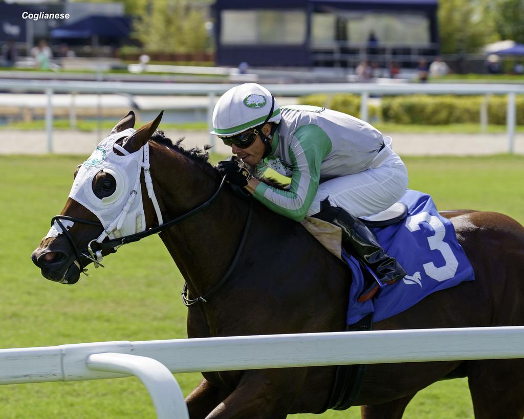 Tank. (Coglianese)