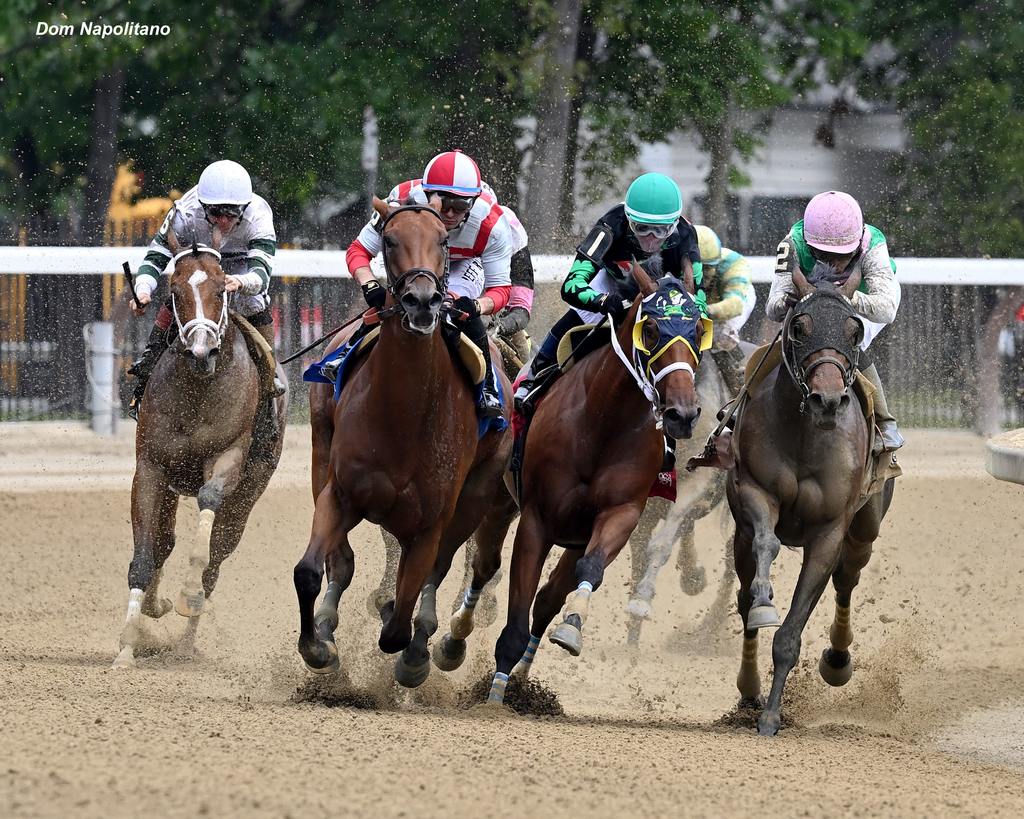 Ways and Means floated to the lead late in the turn. (Dom Napolitano)