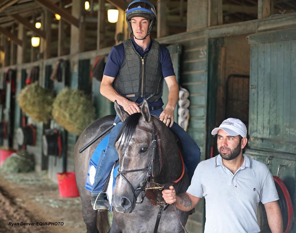 Haskell contender Gosger with exercise rider Stephen Dolan and groom Victor Arias, walks the shed row before a morning jog. (Ryan Denver/EQUI-PHOTO)