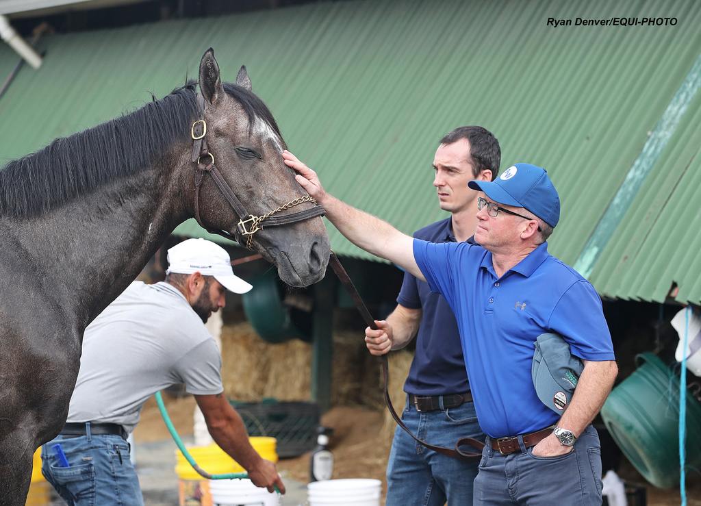 Trainer Brendan Walsh pats Haskell contender Gosger on the nose before getting a post jog bath at Monmouth Park Racetrack in Oceanport, NJ on Friday July 18, 2025. Photo By Ryan Denver/ EQUI-PHOTO