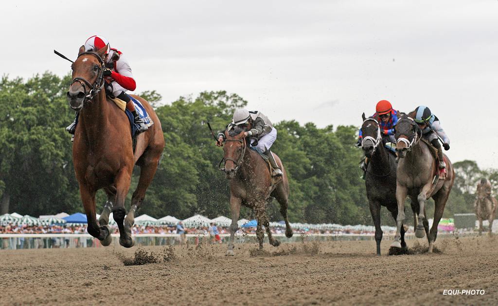 Majestic Oops  (#4 outside white cap) gives chase to Randomized (#3). (EQUI-PHOTO)